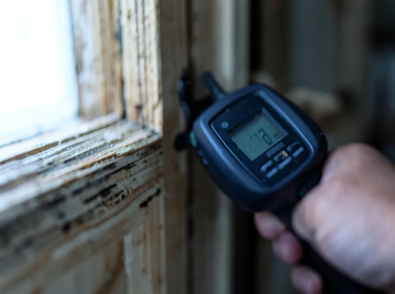 Moisture Inspection And Documentation in Four Corners, MT